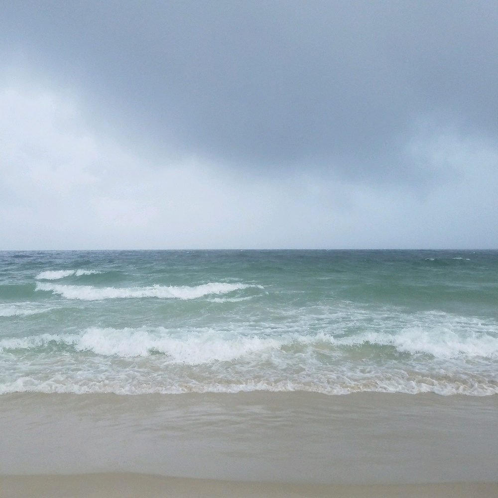 Meet your Posher, Saunya